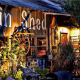 The Tin Shed in Apalachicola FL - Resort Vacation Properties