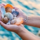 Holding Seashells - St. George Island, FL - Resort Vacation Properties