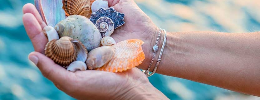 Holding Seashells - St. George Island, FL - Resort Vacation Properties