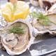 st. george island restaurants oysters