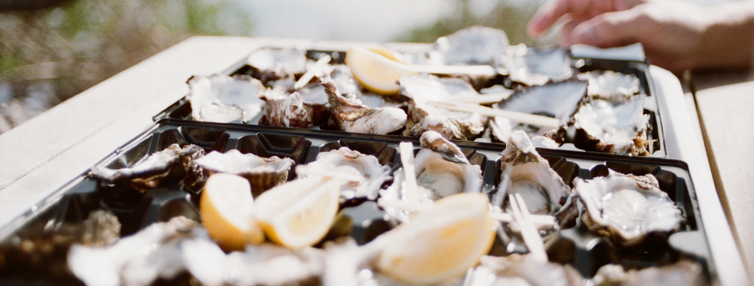 st. george island oysters