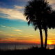 hidden secrets of st. george island sunset palm trees beach
