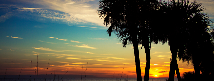 hidden secrets of st. george island sunset palm trees beach